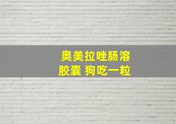 奥美拉唑肠溶胶囊 狗吃一粒